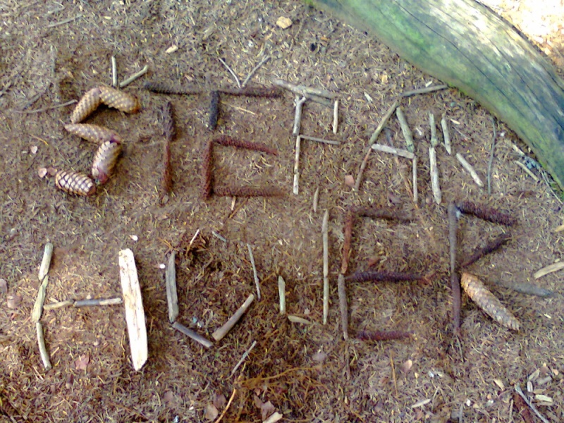 Obrázek ke článku